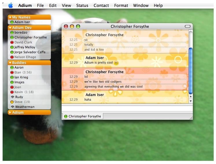 Google talk for mac download