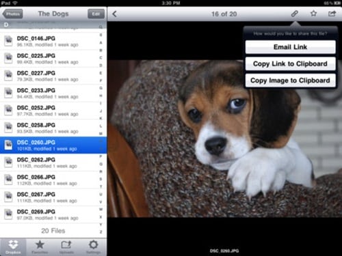 dropbox for iPad 3