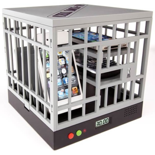 Cell Lock-Up Phone Cage