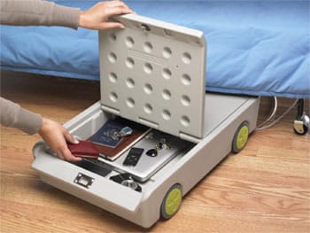 Portable Safe