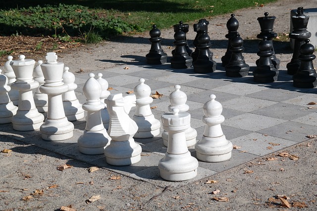 chess to relax