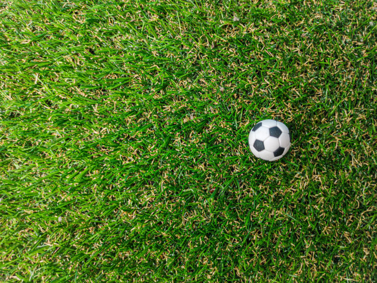 artificial turf with soccer ball