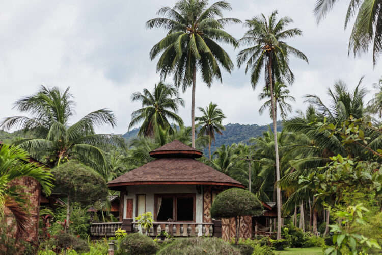 bungalow and green palms vacation retreat