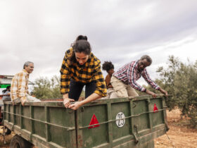farmers in ute tray in back of truck
