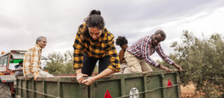 farmers in ute tray in back of truck