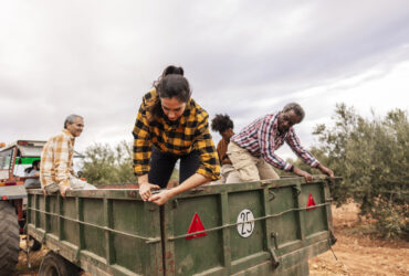 farmers in ute tray in back of truck