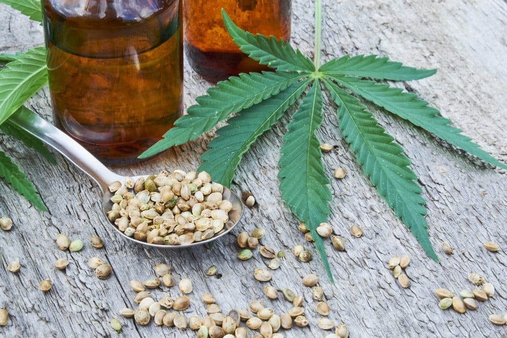 hemp leaves on wooden background, seeds, cannabis oil extracts in jars.