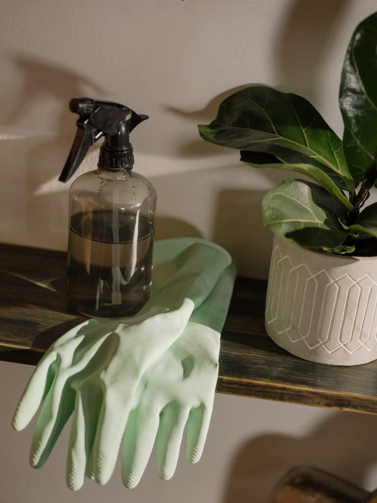 bottle of spray cleaner and rubber gloves sitting on a side table by a plant
