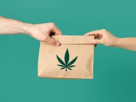 dube delivery can transform your cannabis delivery process