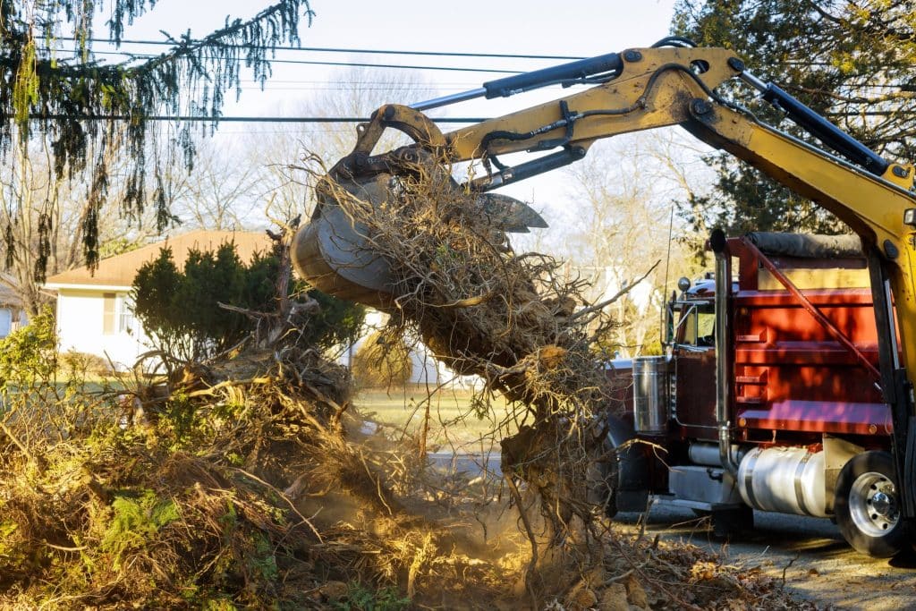a large excavator pulling up tree branches and brush