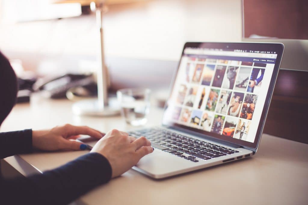 Woman scanning the internet for pictures