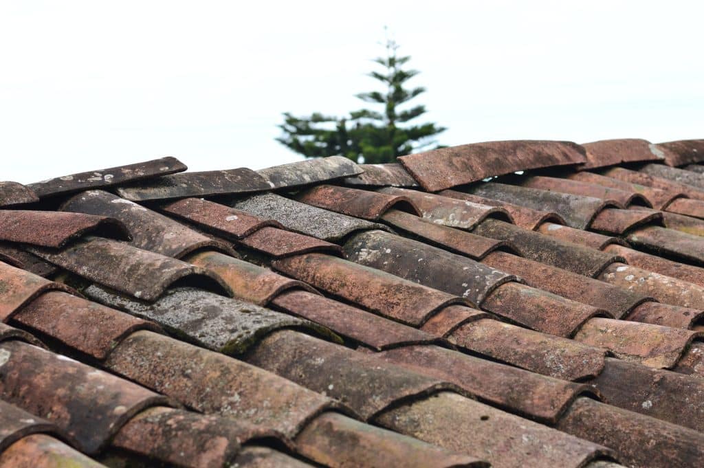 Old tile roof in need of cleaning and repair