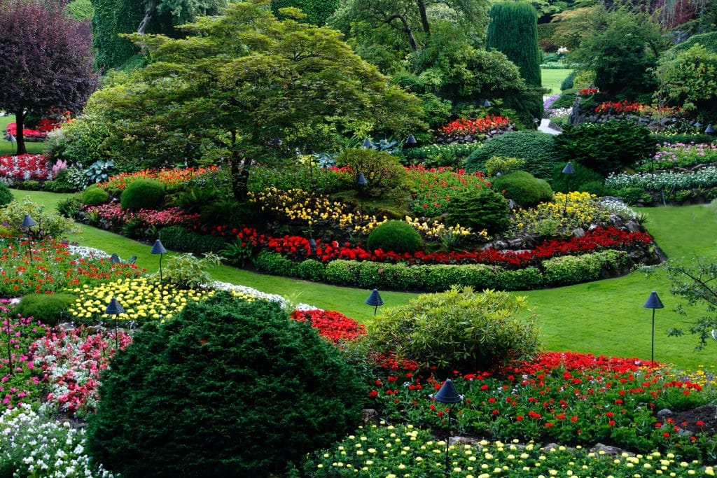 A beautifully landscaped arboretum with multiple flower and shrub beds