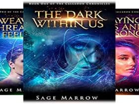 Sage Marrow's YA Fantasy Novels