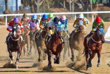 Horse race in progress