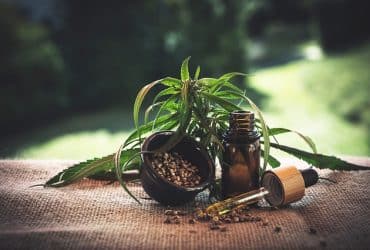 cannabis plant with CBD oil bottle and dropper in front