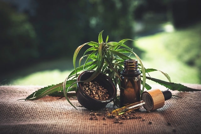 cannabis plant with CBD oil bottle and dropper in front