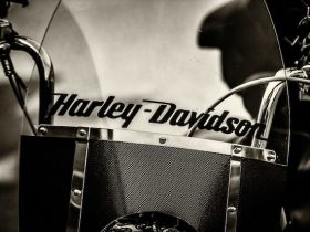 close-up of harley davidson logo on motorcycle