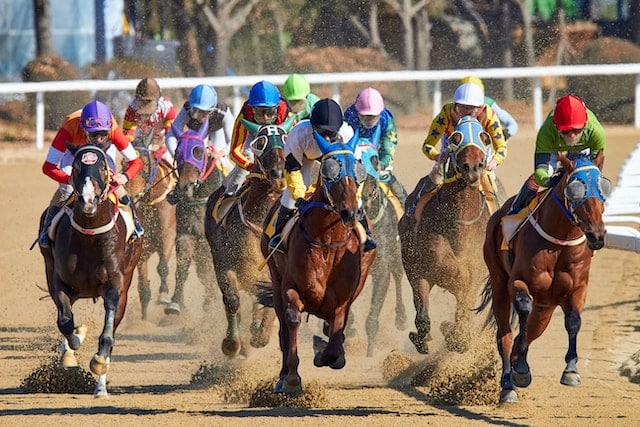 group of horse and jockeys in a race