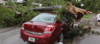 a car that has been totaled by a tree falling on its roof