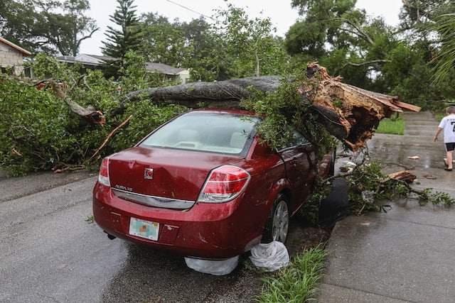 a car that has been totaled by a tree falling on its roof
