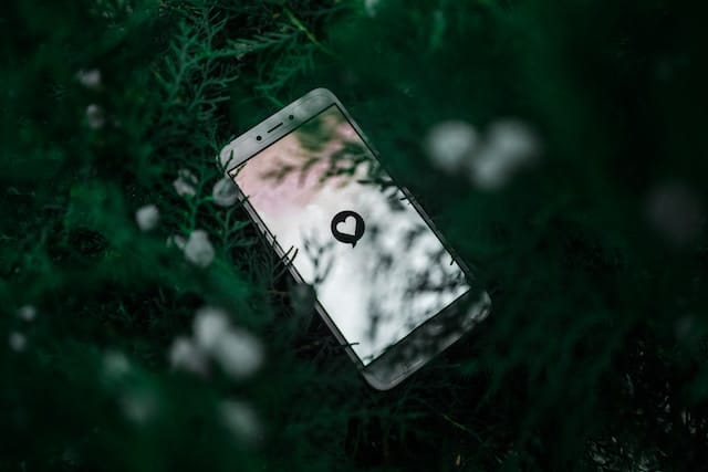 phone with a dating app loading on the screen, sitting on a backdrop of pine boughs.