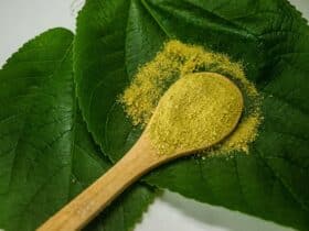 yellow powder in a wooden spoon sitting on two leaves