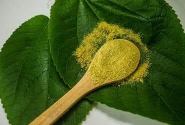 yellow powder in a wooden spoon sitting on two leaves
