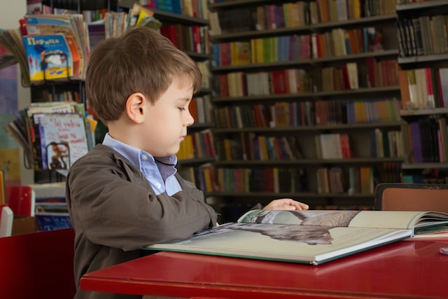 young boy sitting in a library reading a book about animals