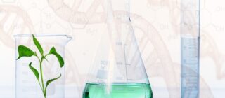 science station tools biology beaker chemicals