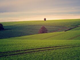 beautiful landscape farmland hills green grass country