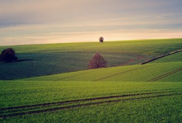 beautiful landscape farmland hills green grass country