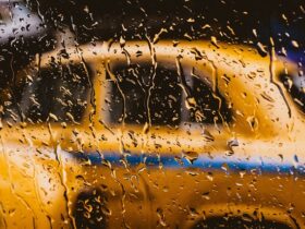 taxi driver rain city car raindrops window