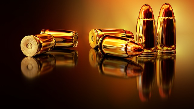 gun bullets ammo