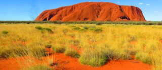 image of the Australian outback with desert in the foreground and a mountain in the background.