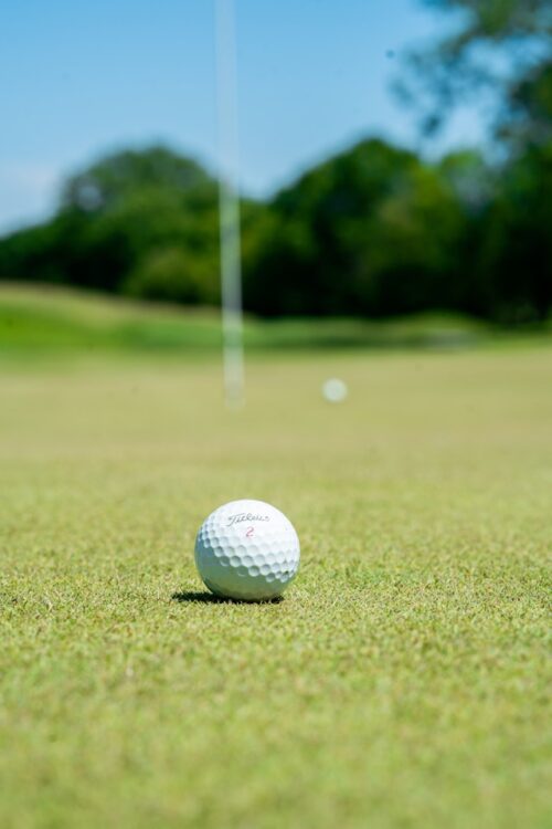 closeup of golf ball on the green.