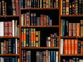 bookshelf filled with nice books.