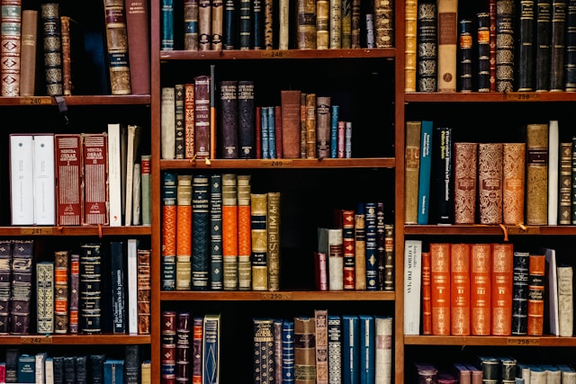 bookshelf filled with nice books.