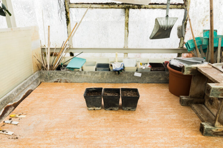 greenhouse in the midst of remodel.