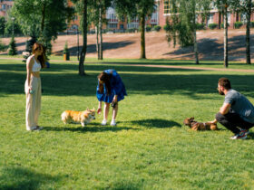 Dogs and owners at dog park