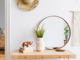 minimalist decor room with mirror and small plant