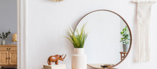 minimalist decor room with mirror and small plant