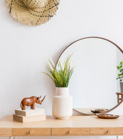 minimalist decor room with mirror and small plant