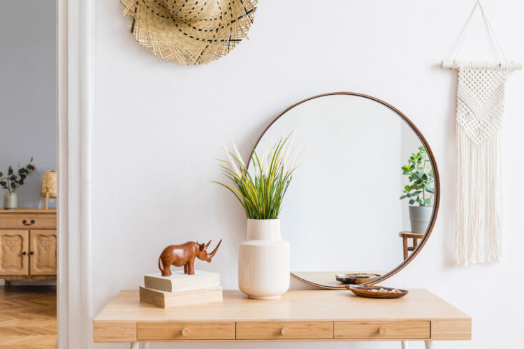 minimalist decor room with mirror and small plant